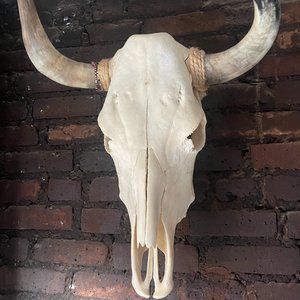 fake longhorn skull decoration